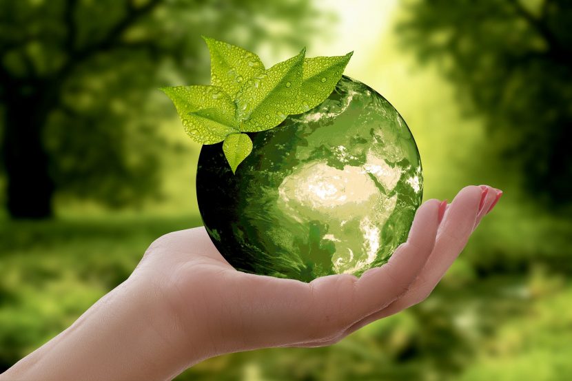 earth and hand